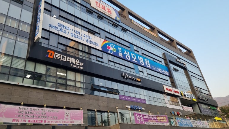 진해성모병원 이미지