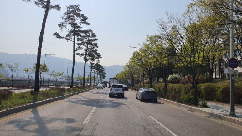 동내기사식당 이미지