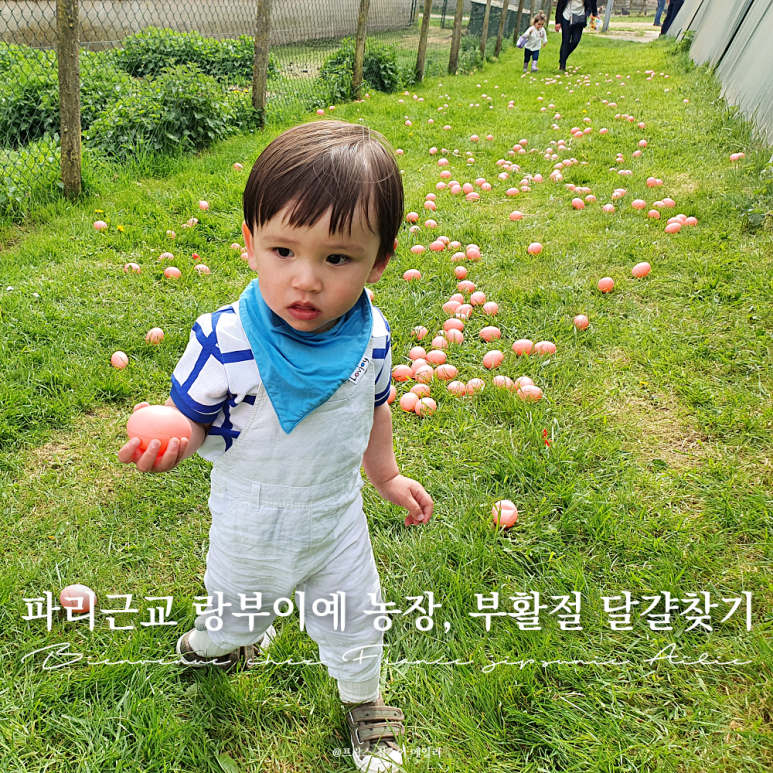 오가축산 이미지