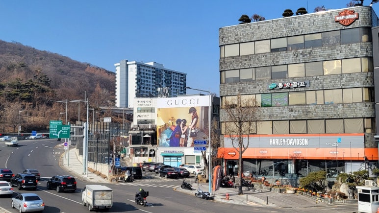 동양골프주 이미지