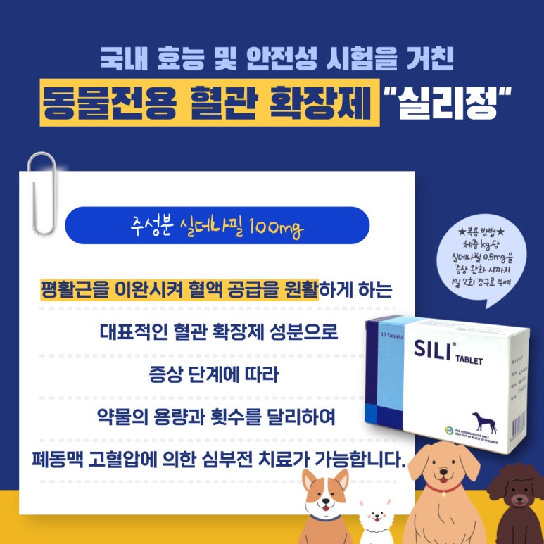 실리(SILI) 이미지