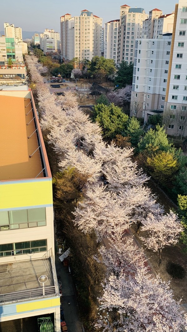 반계공원 이미지