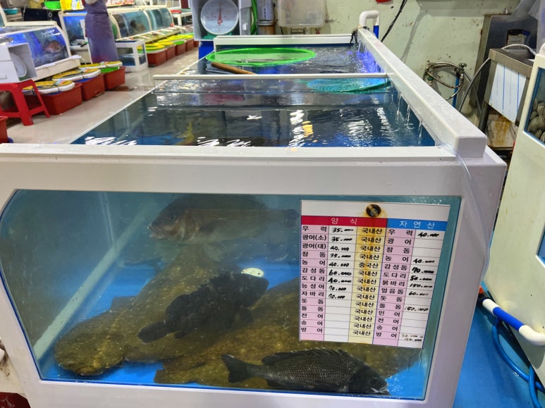 선희네수산 이미지