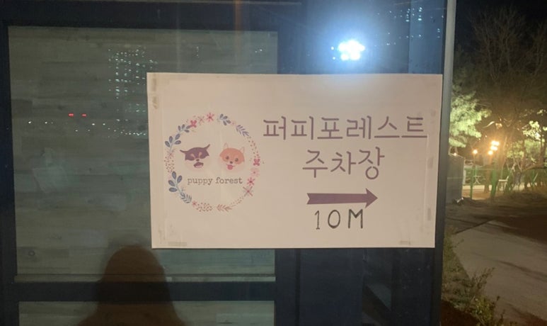 퍼피포레스트 이미지