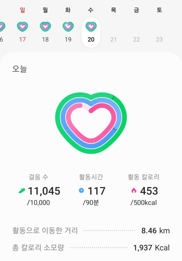 11 이미지
