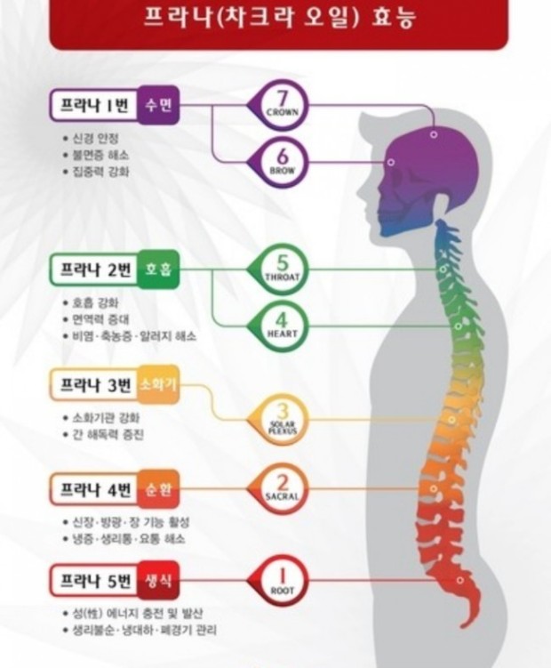 샤테라피 이미지