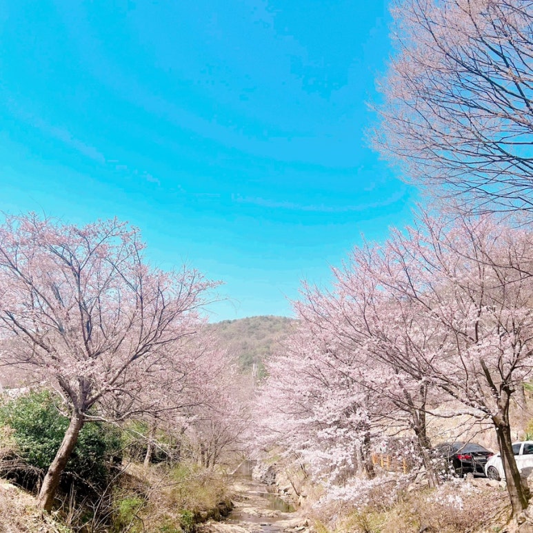 안성운모석캠핑장 이미지