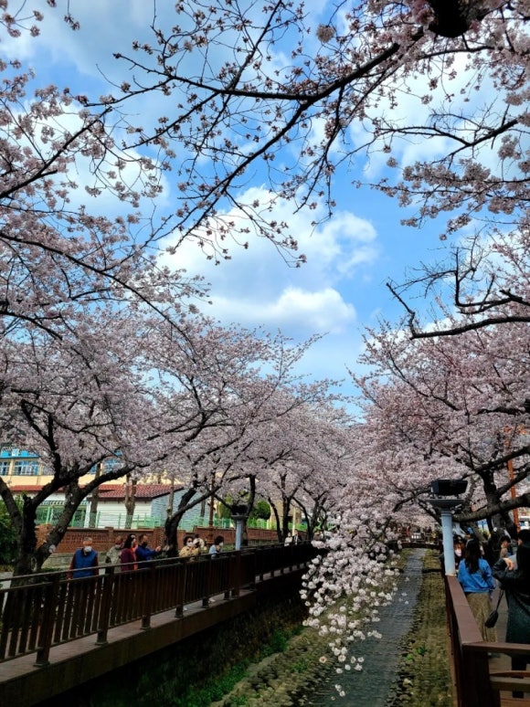 갤러리설우 이미지