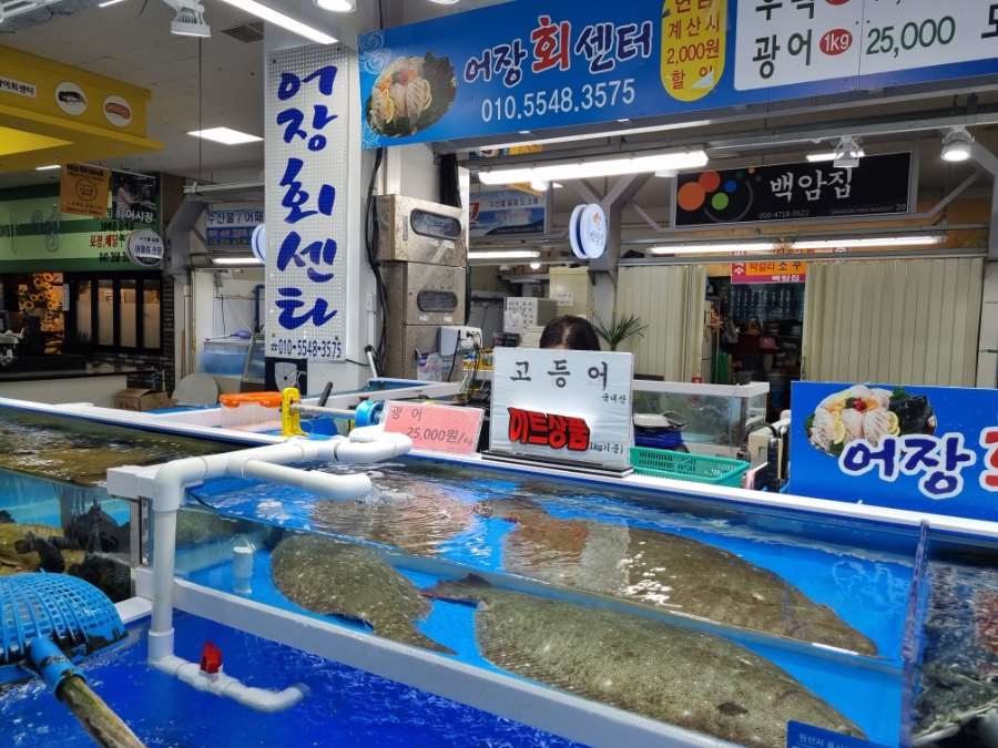 어장회센타 이미지