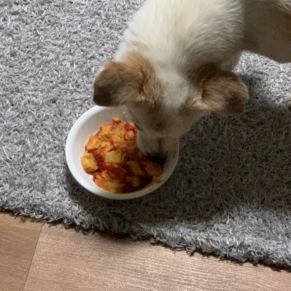동대문엽기볶이 이미지