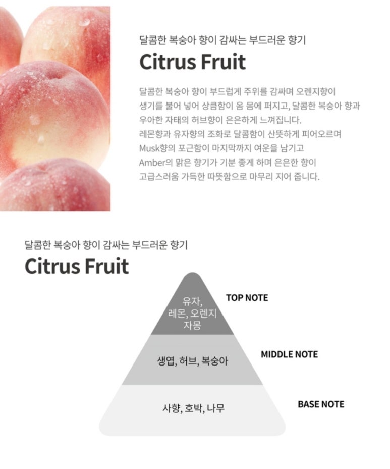 라라워시 이미지