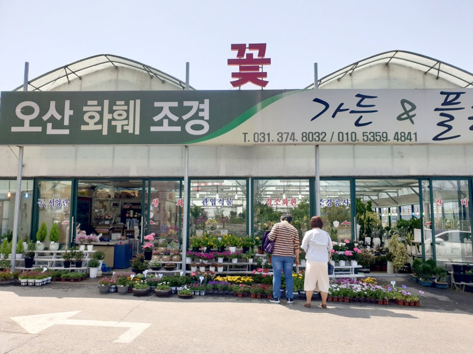오산화훼조경 이미지