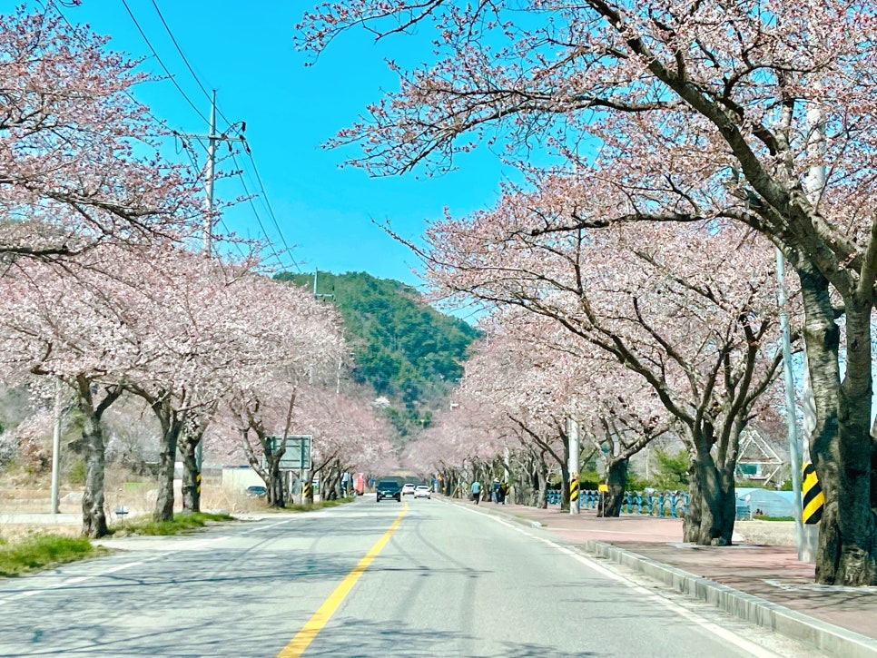 삼척IC 이미지