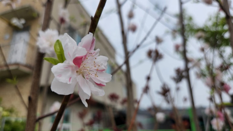 진산원 이미지