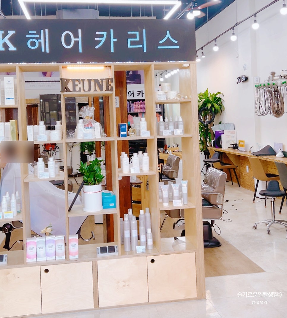 헤어카리스 이미지