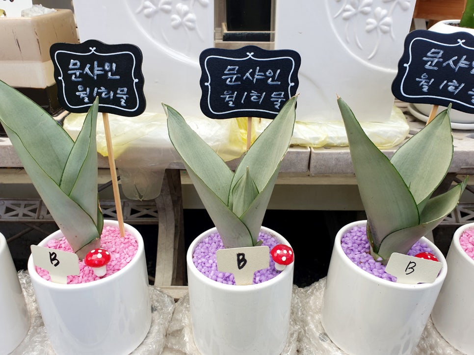 오산화훼조경 이미지