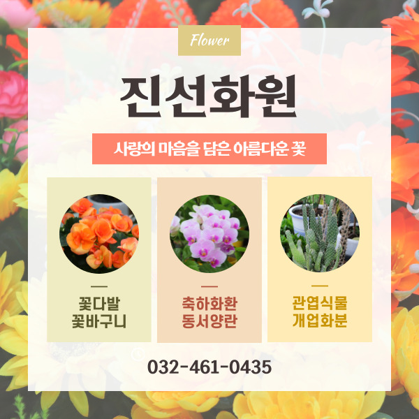 마음을담은꽃의화원 이미지