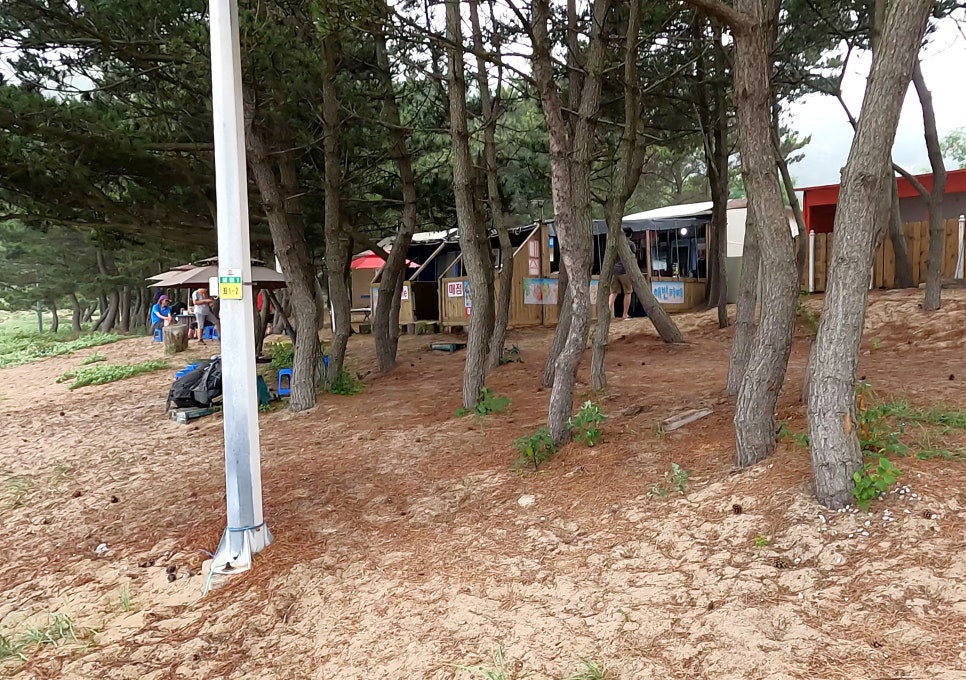 다잇소 이미지
