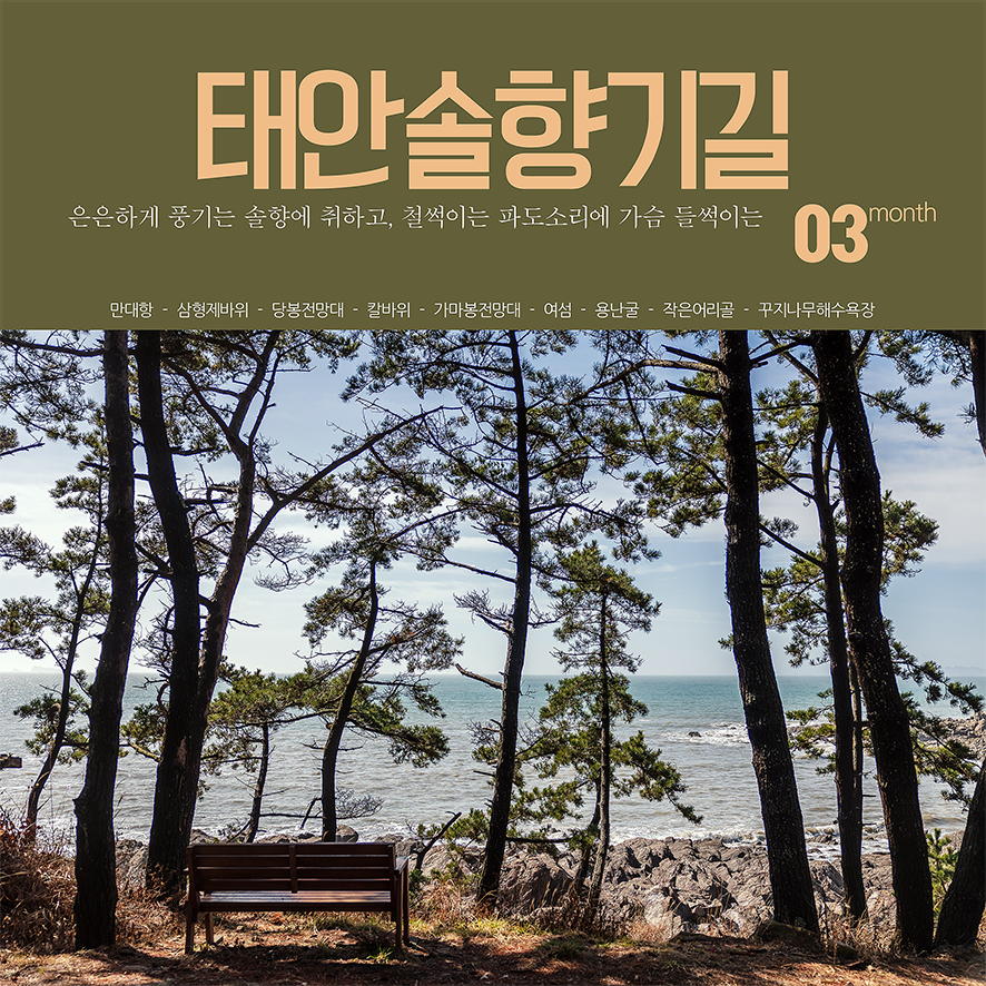푸른태안 이미지
