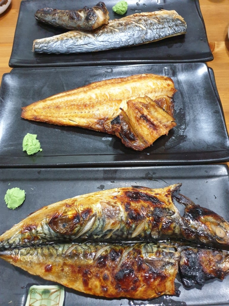 까시고기 이미지