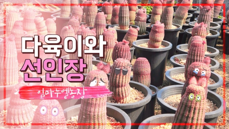 임마누엘 농장 이미지