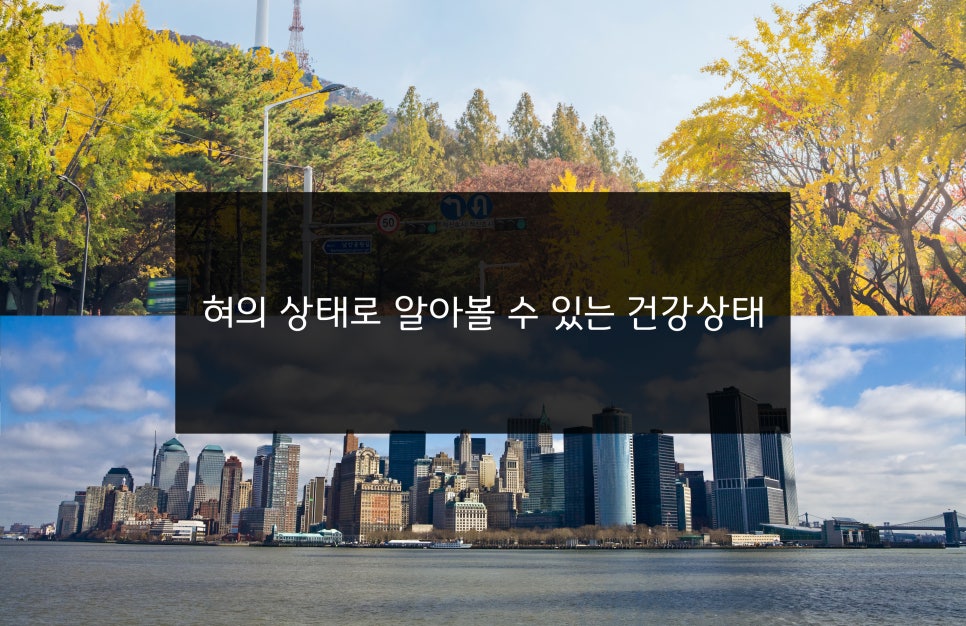 혀기지니 이미지