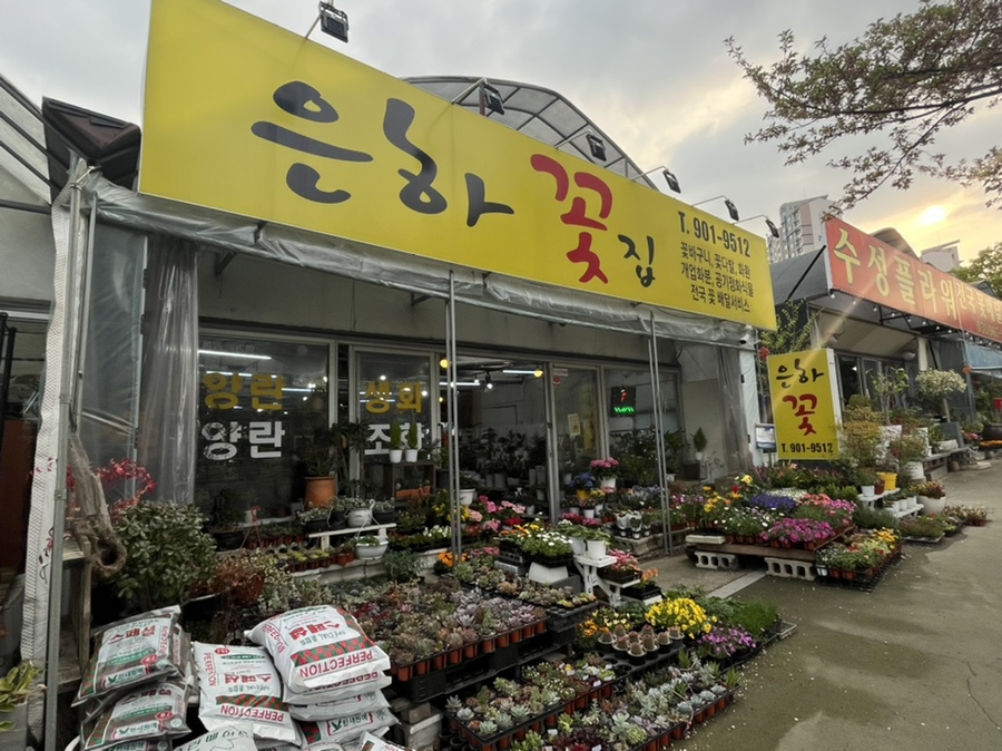 은하꽃집 이미지
