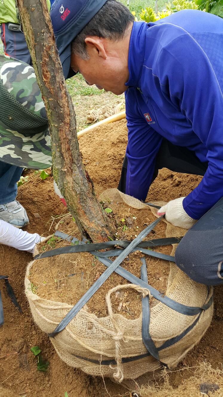 녹색환경기술학원 이미지