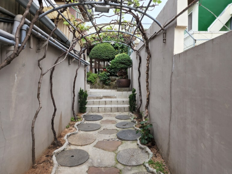 광신보리밥 이미지
