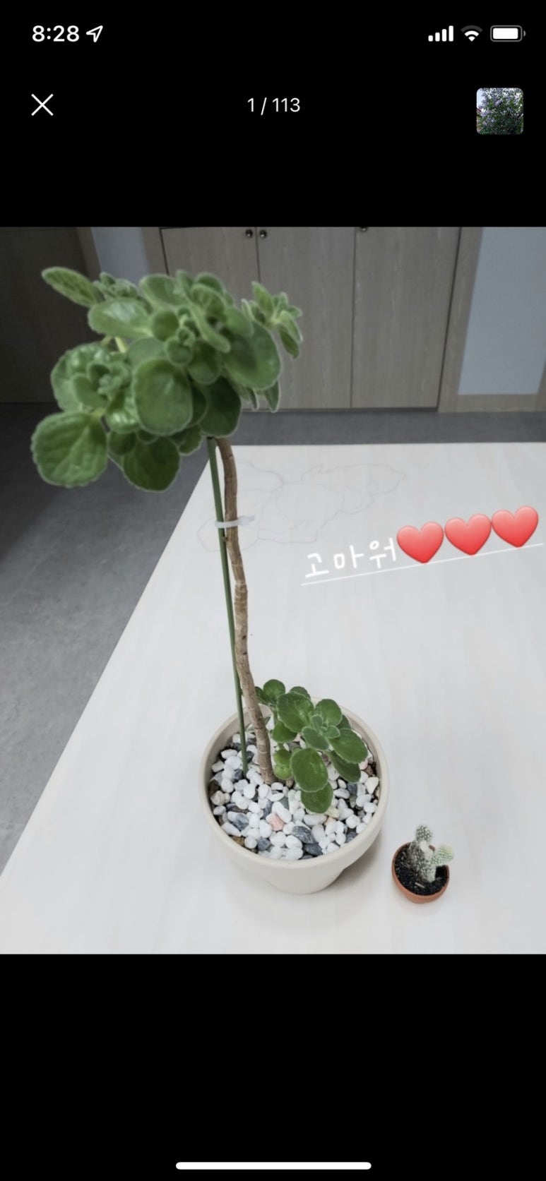 우긋 이미지