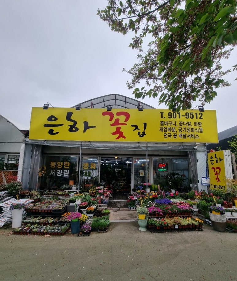 은하꽃집 이미지