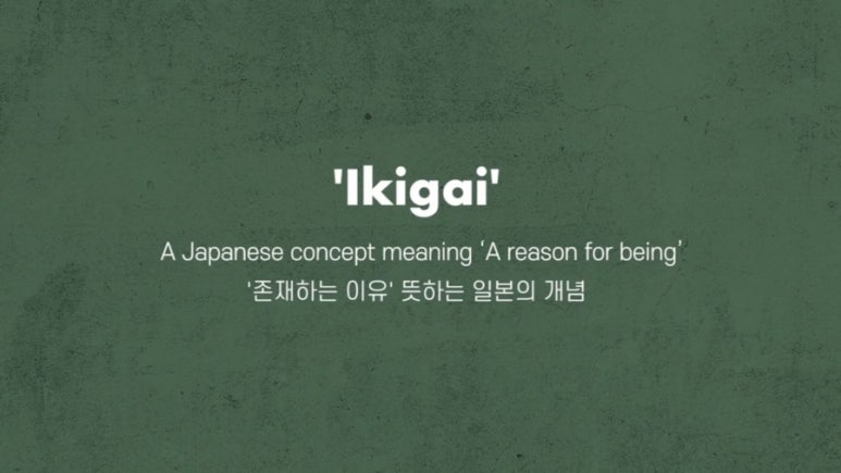 이키가이 이미지