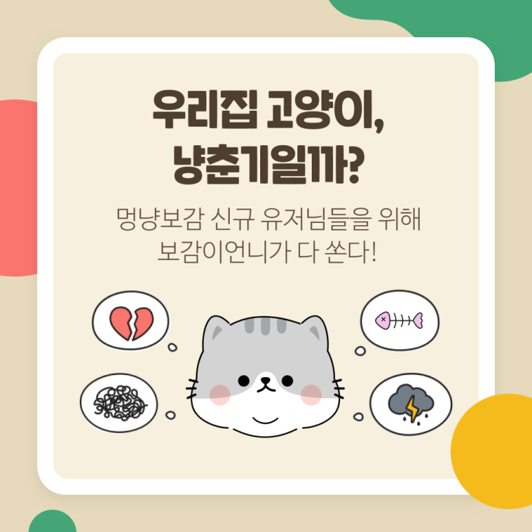 춘기의집 이미지