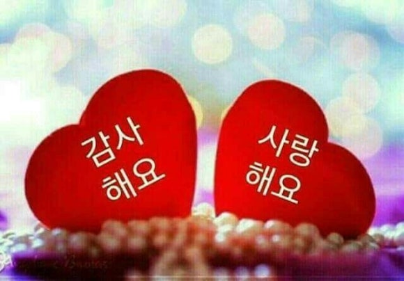 믿음전파사 이미지