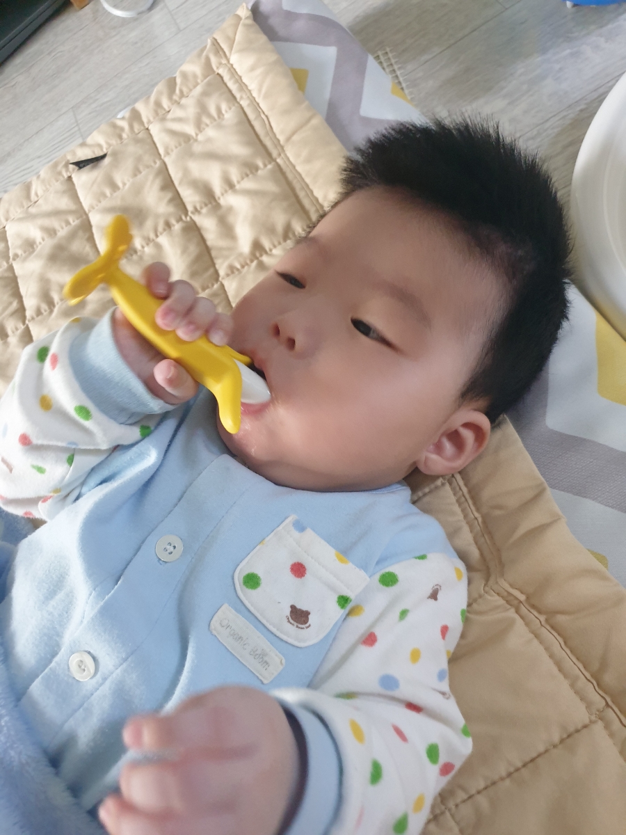연못155 이미지