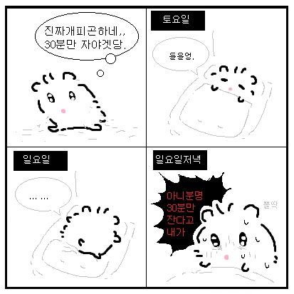 히포크라테스스프 이미지