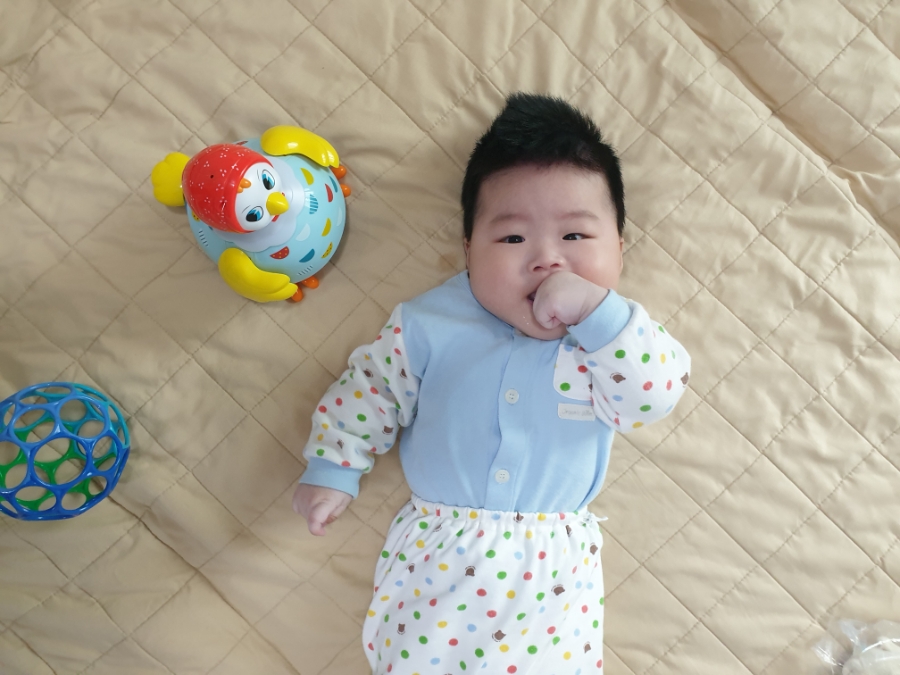 연못155 이미지