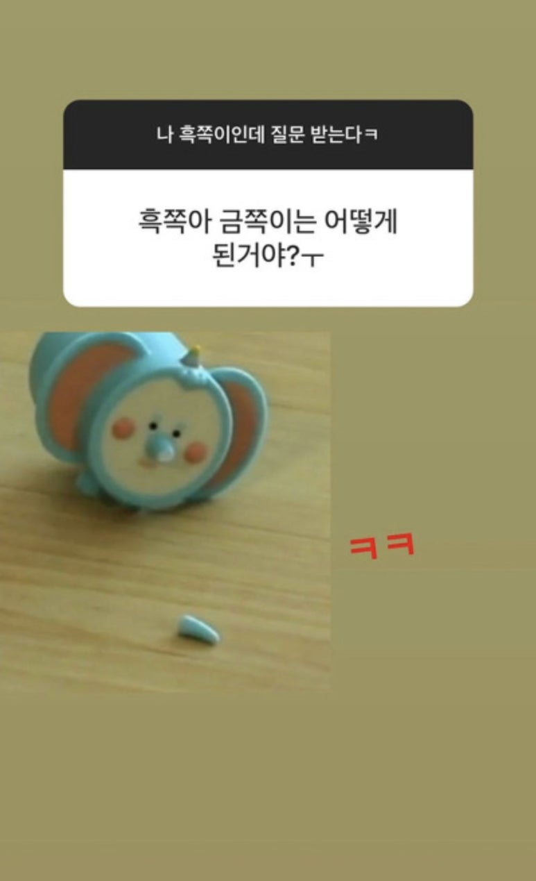 꿀밤타코야끼 이미지