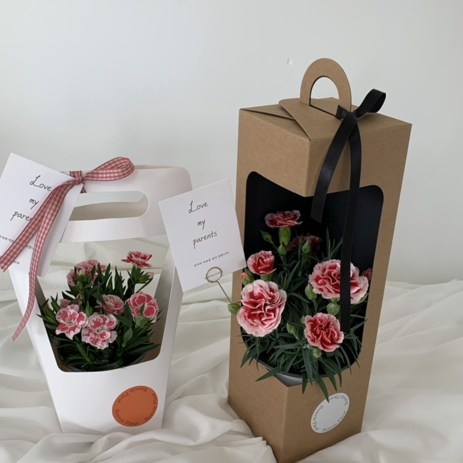 본비플레르 이미지