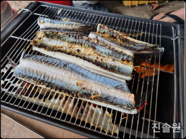 캠핑장어 이미지