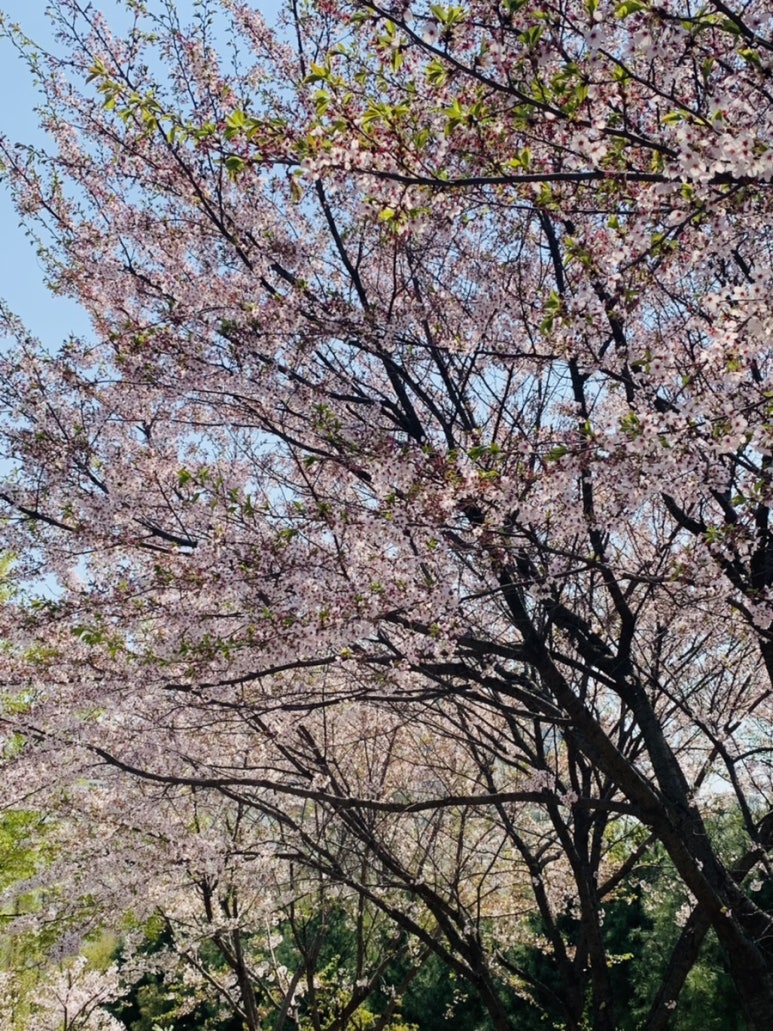 군자-1 (산들공원) 이미지