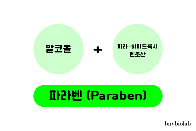 비엔프리 이미지