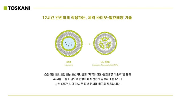 브이엘 이미지