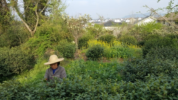 태호환경(주) 이미지