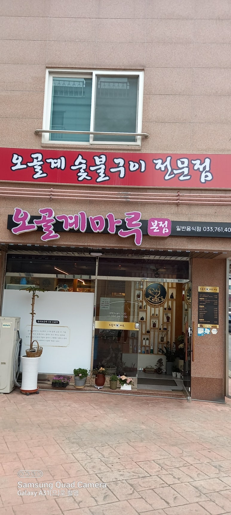 오골계마루 이미지