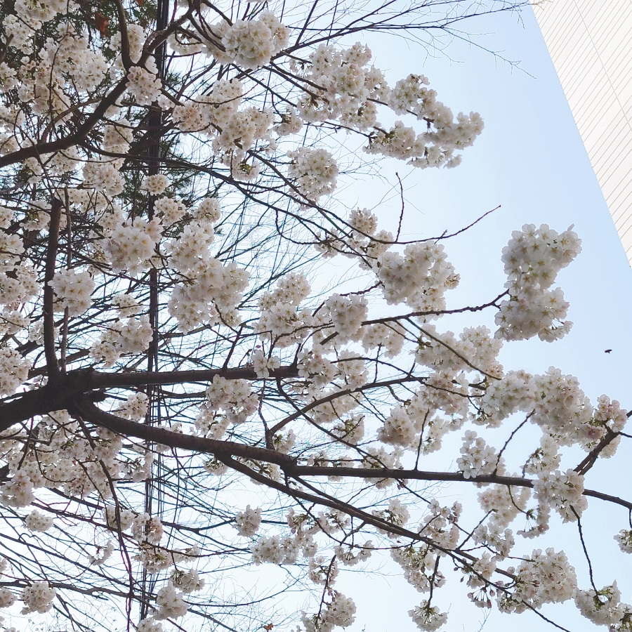 모리커피울산 이미지