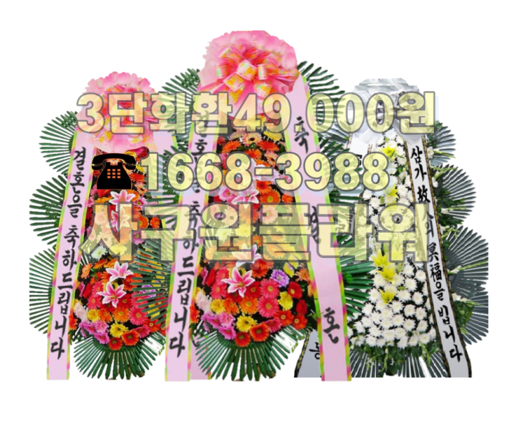 원플라워 이미지