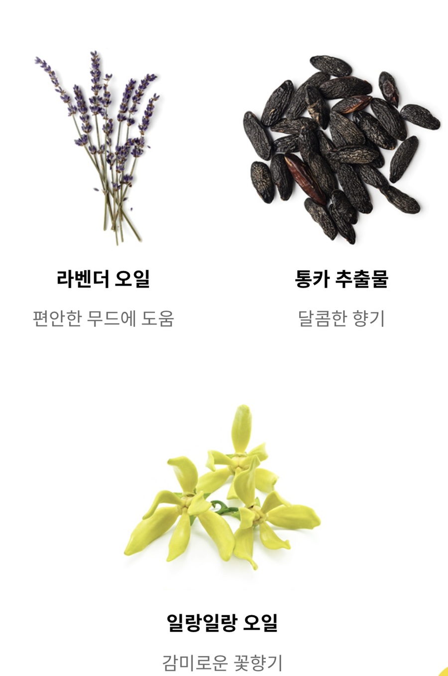 (주)허니코 이미지