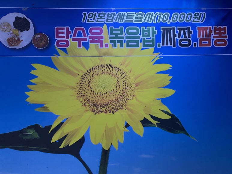 우리밀팔도짜장 이미지