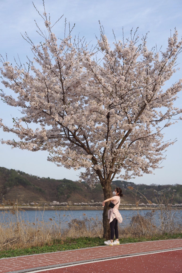 오삼~팜 이미지
